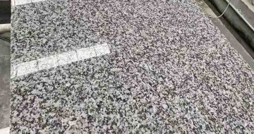 乌鲁木齐 芙蓉白光面