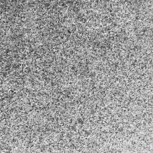 乌鲁木齐 芝麻黑