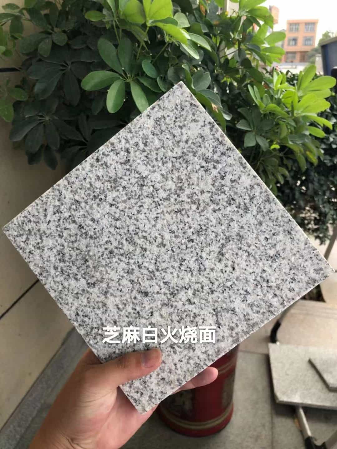 乌鲁木齐芝麻白火烧面地铺