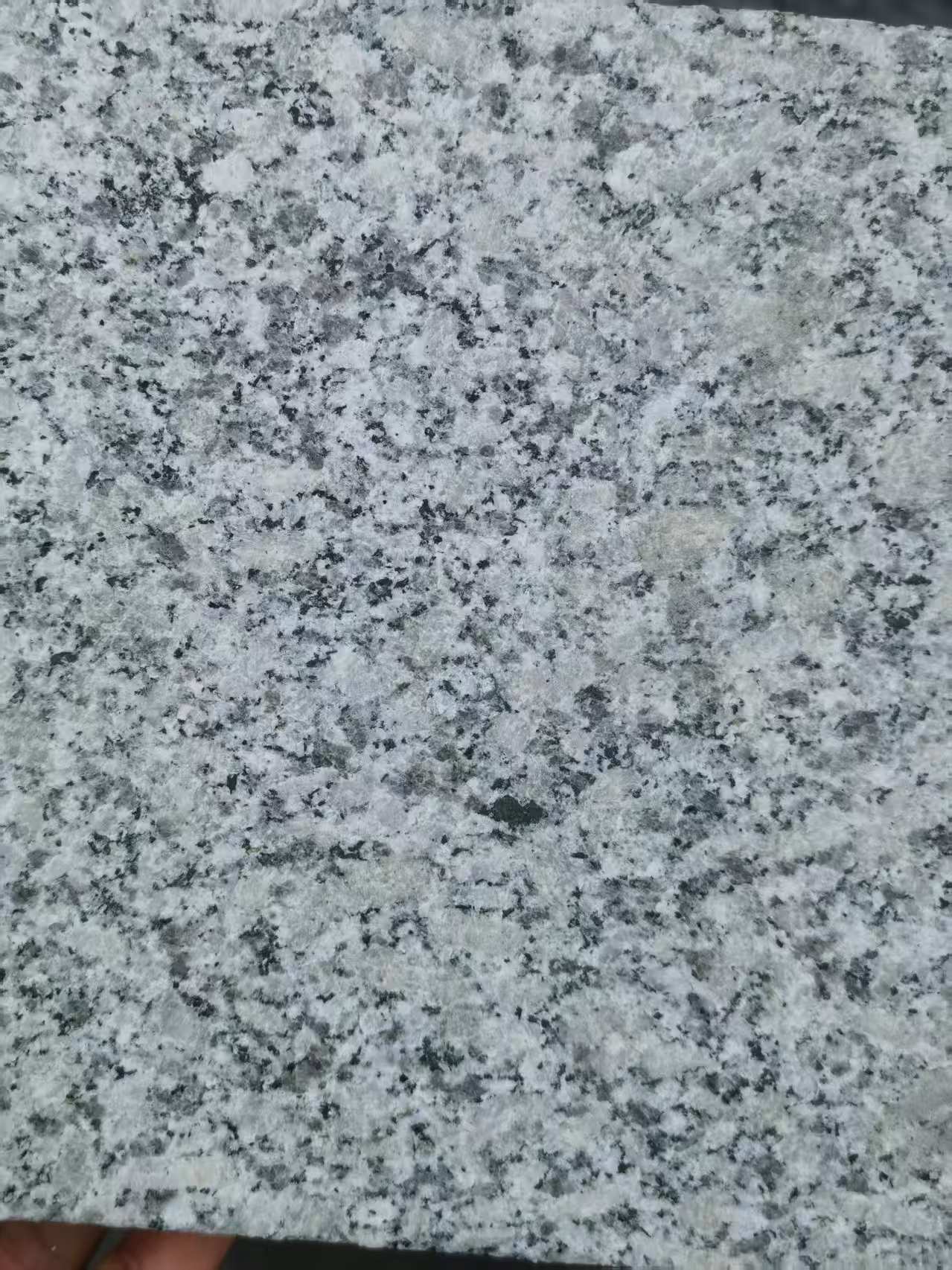 乌鲁木齐 芙蓉白火烧面